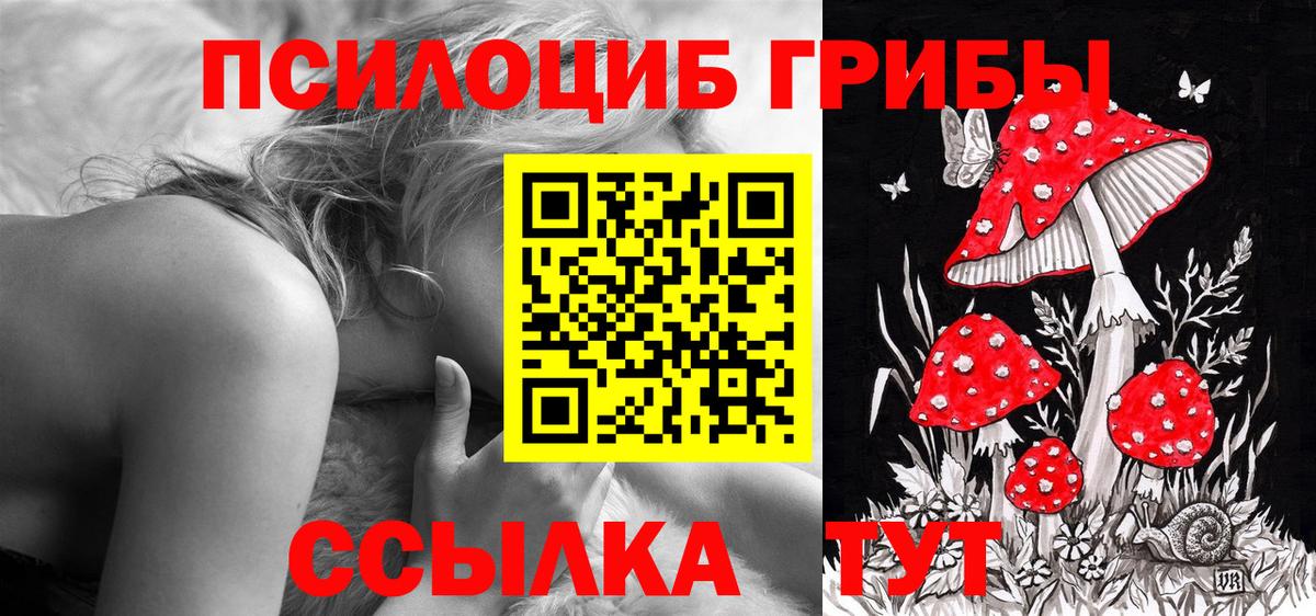 Гусев  Псилоцибиновые грибы Cubensis  Вход с VPN  Галлюциногенные грибы Magic Shrooms 