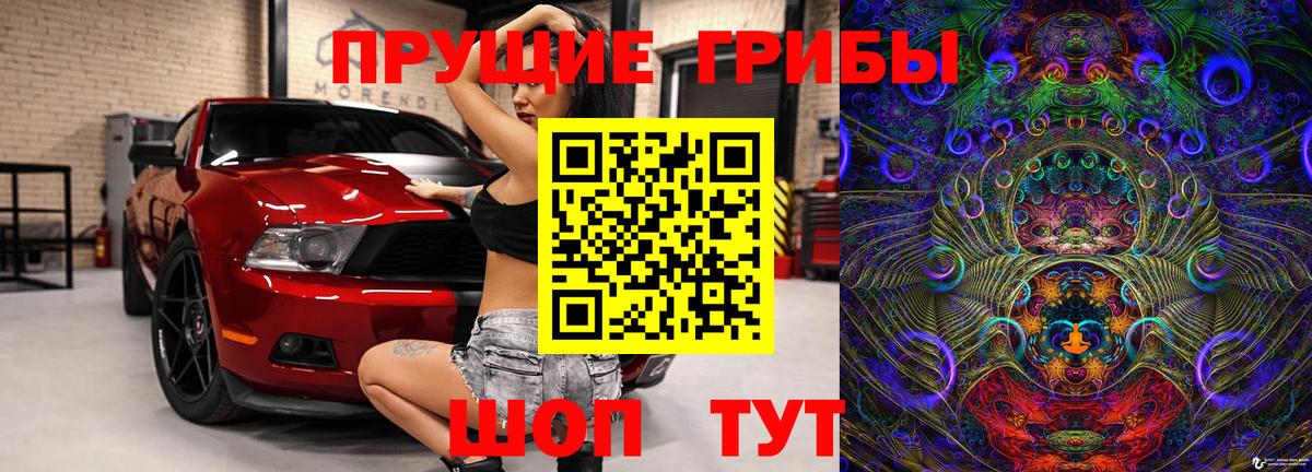Галлюциногенные грибы Psilocybine cubensis Гусев